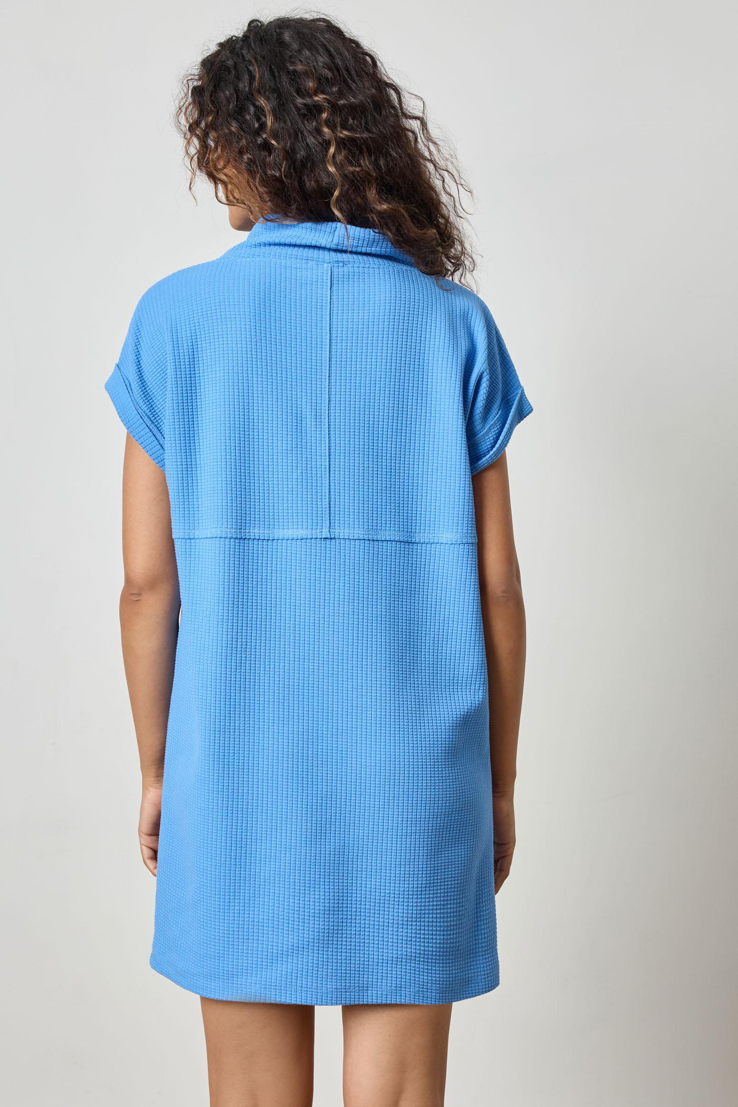 Roll Sleeve Seamed Dress Womens Dress Bluejay A2