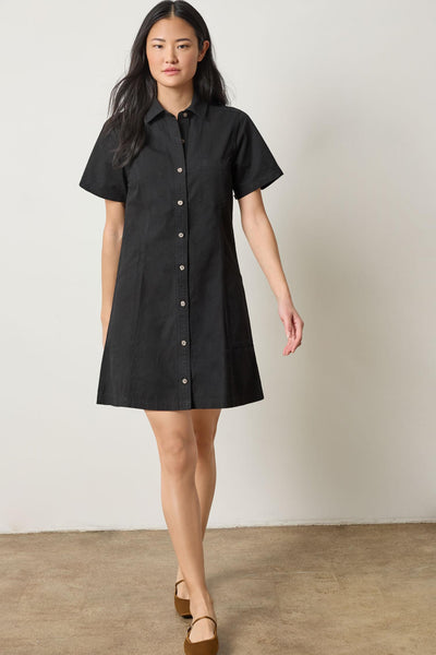 Twill Paneled Shirt Dress  Lilla P