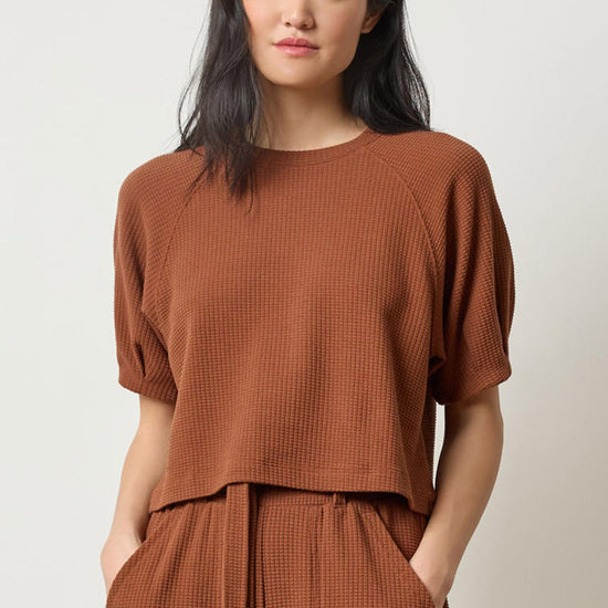 Pleated Sleeve Top Womens Top Praline A1