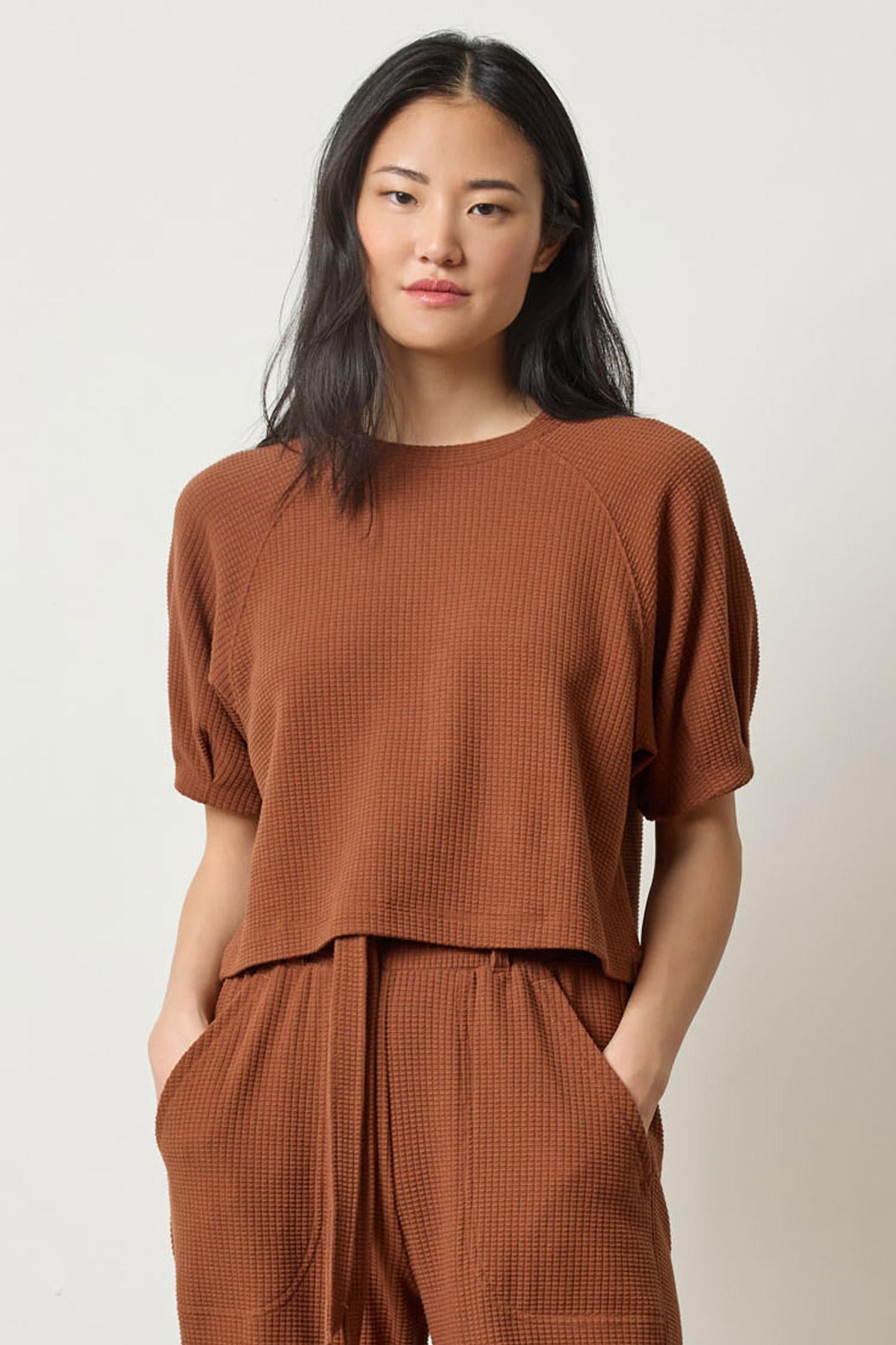 Pleated Sleeve Top Womens Top Praline A1