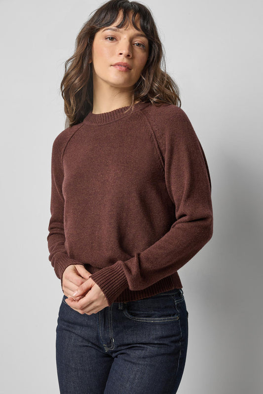 Raglan Sleeve Pullover in color Java Image A1