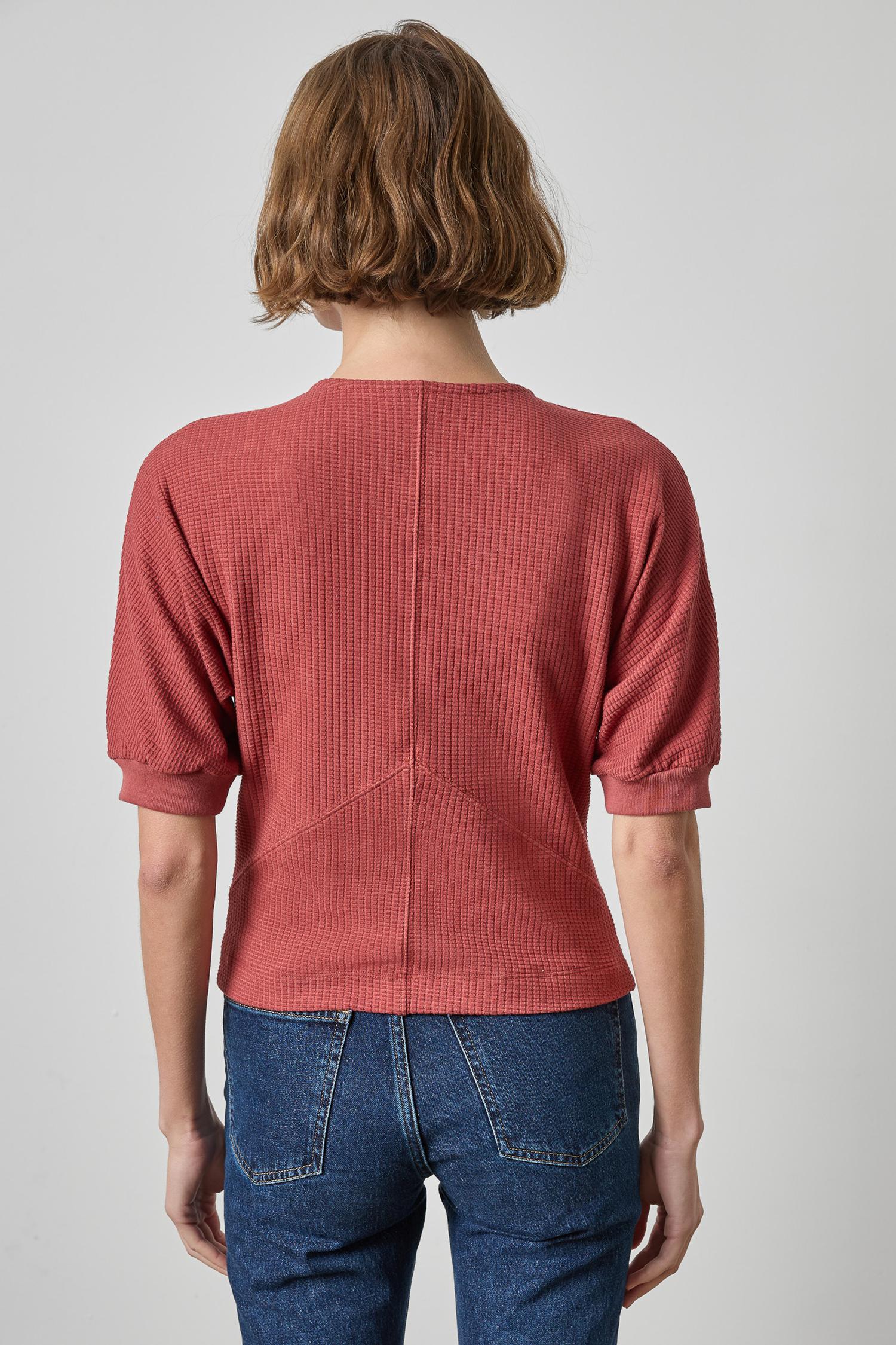 Seamed V-Neck Top Womens Top Henna A2