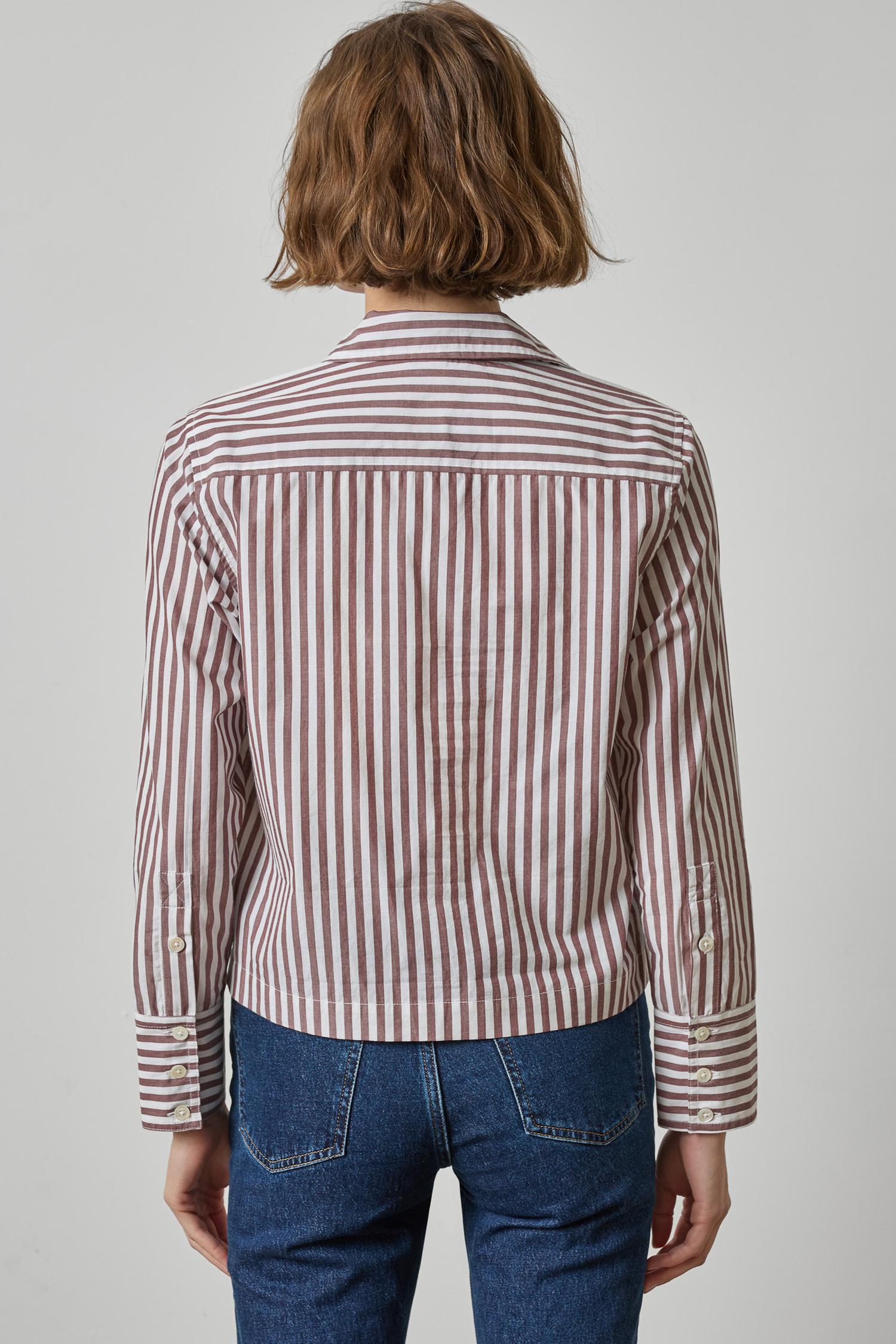 Straight Fit Short Button Down Womens Top Chestnut Stripe A2