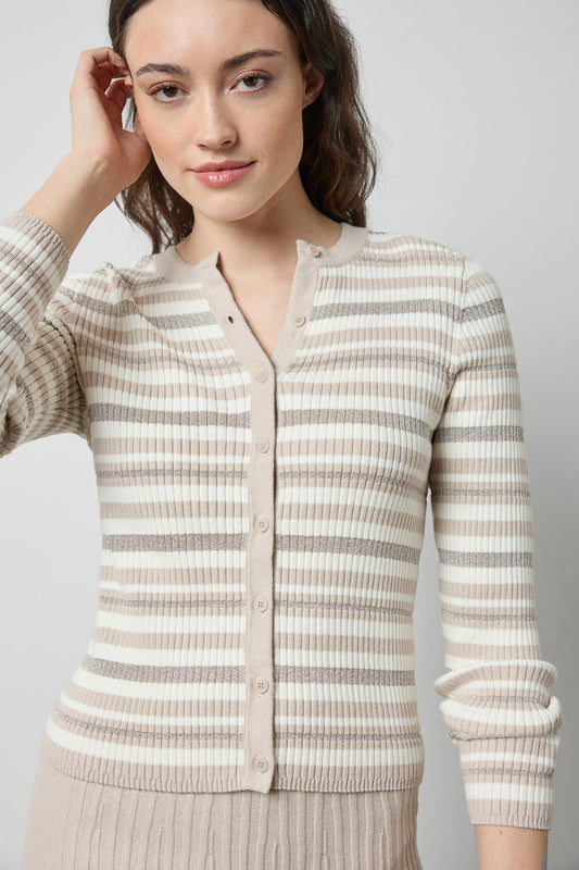 Metallic Stripe Cardigan in color Light Multi Stripe Image A1