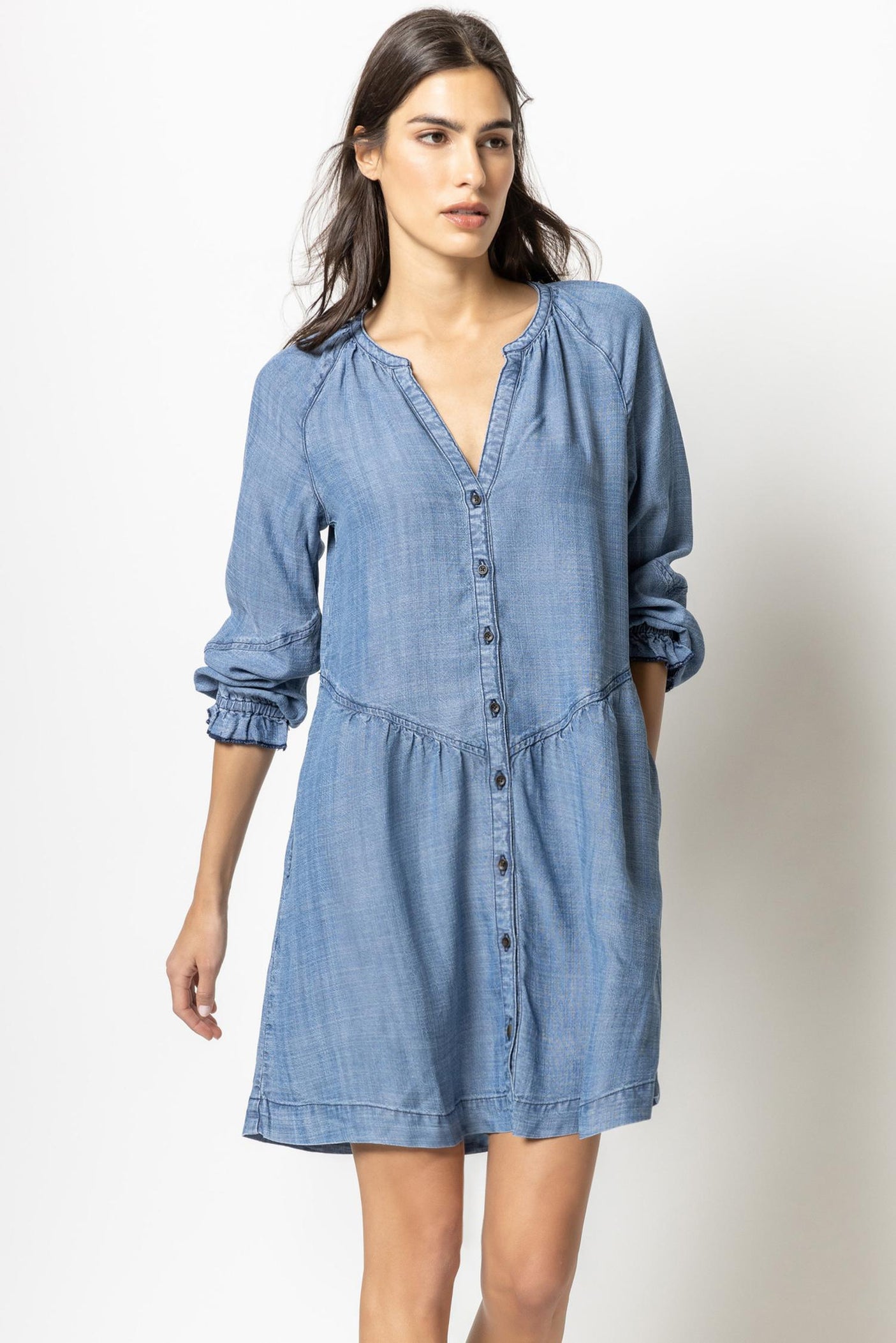 Chambray button shop down dress